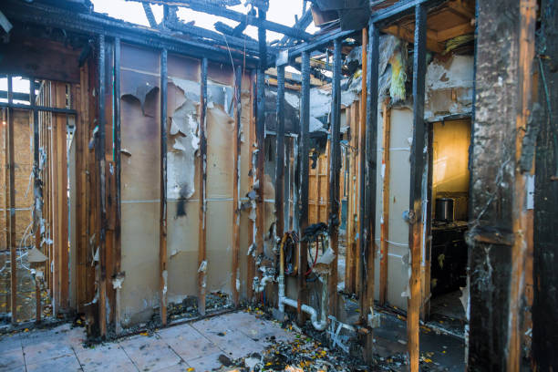 Professional Fire Damage Removal technician working in Clover Creek, WA